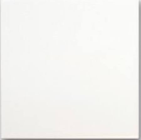 Sublimation tile(LARGE) 12x8 White Ceramic Tile We Sub’N